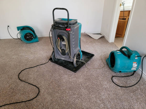 Best Residential water damage restoration  in Dalton Gardens, ID