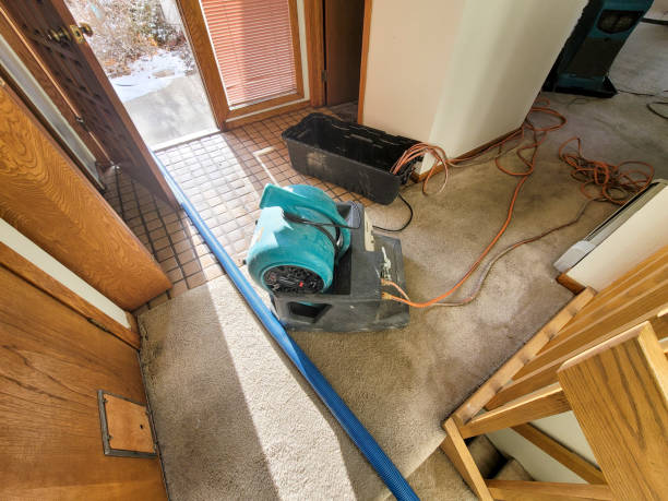 Best 24/7 water damage repair  in Dalton Gardens, ID