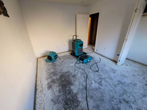 Best Fire Damage Restoration  in Dalton Gardens, ID