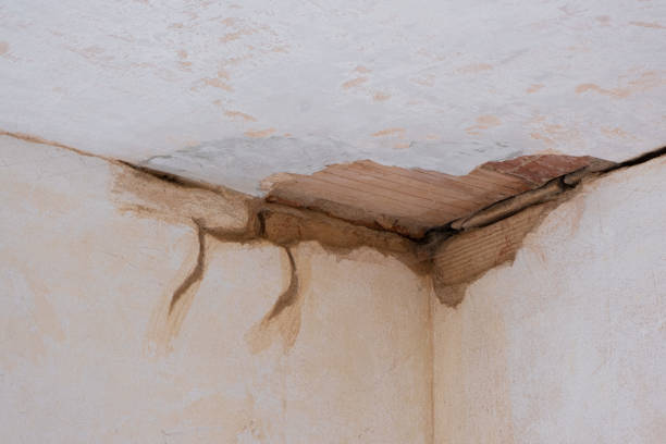 Trusted ID Water damage restoration Experts