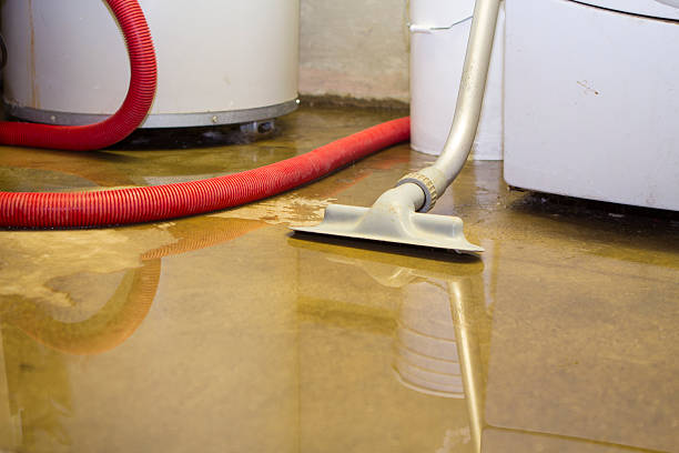 Best Water damage contractors near me  in Dalton Gardens, ID