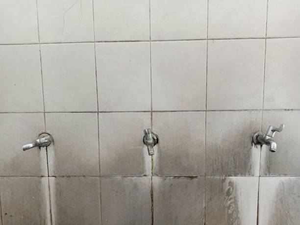 Best Flooded house restoration  in Dalton Gardens, ID