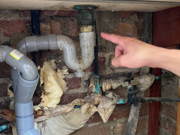 Best Mold removal after water damage  in Dalton Gardens, ID